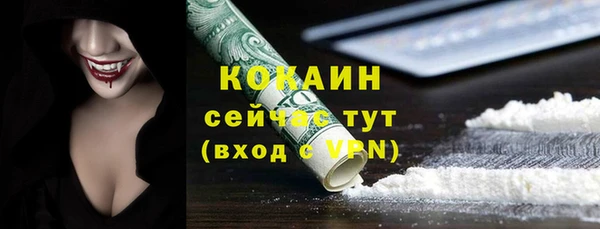 ГАЛЛЮЦИНОГЕННЫЕ ГРИБЫ Абаза