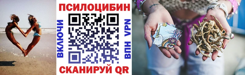Галлюциногенные грибы Psilocybe  Ессентукская 