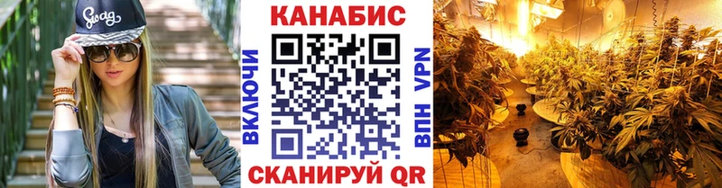 блэк спрут ТОР  Ессентукская  Шишки марихуана SATIVA & INDICA  где купить  